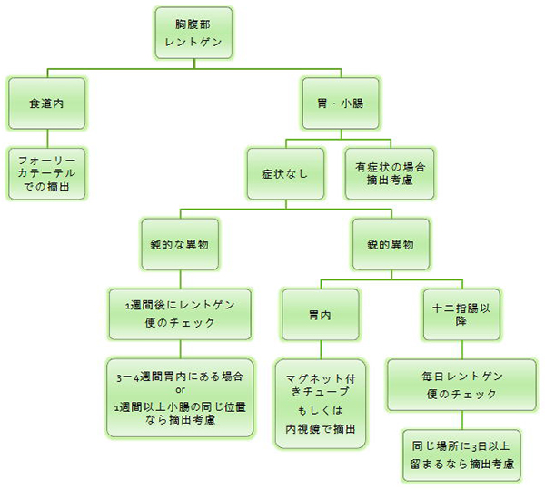 診療疾患画像