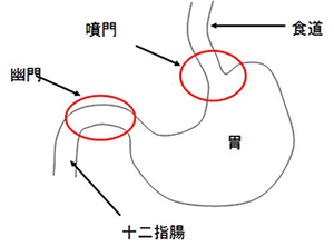 診療疾患画像