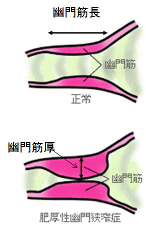 診療疾患画像