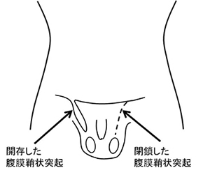 診療疾患画像