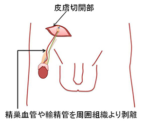 診療疾患画像